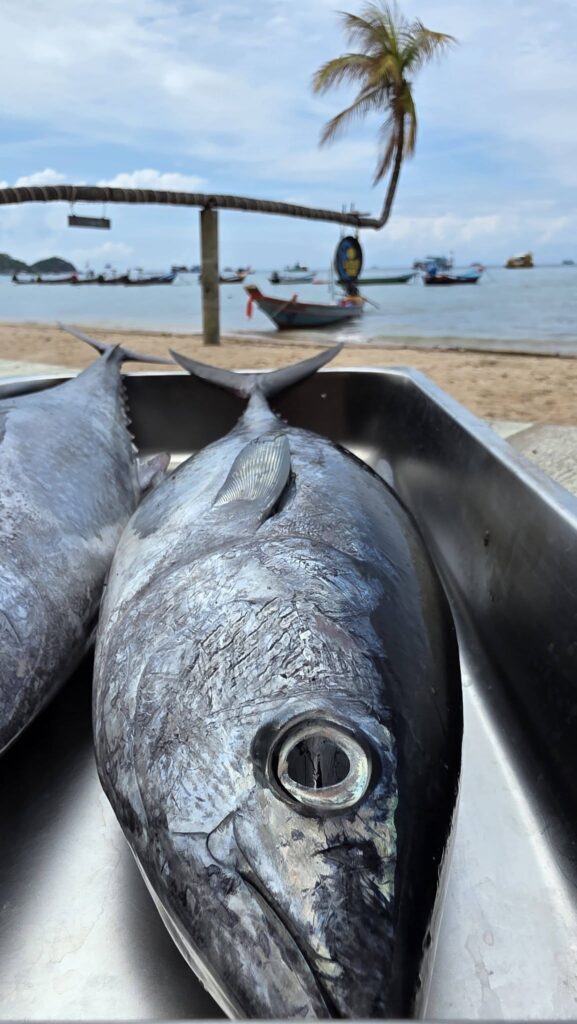 Lotus Beach Bar in Koh Tao, Thailand