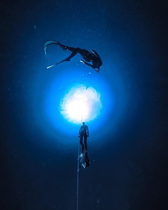 Apnea Total Freediving in Koh Tao, Thailand