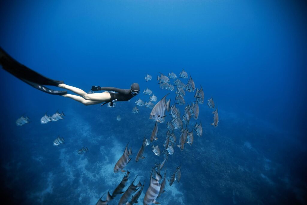 Apnea Total Freediving in Koh Tao, Thailand