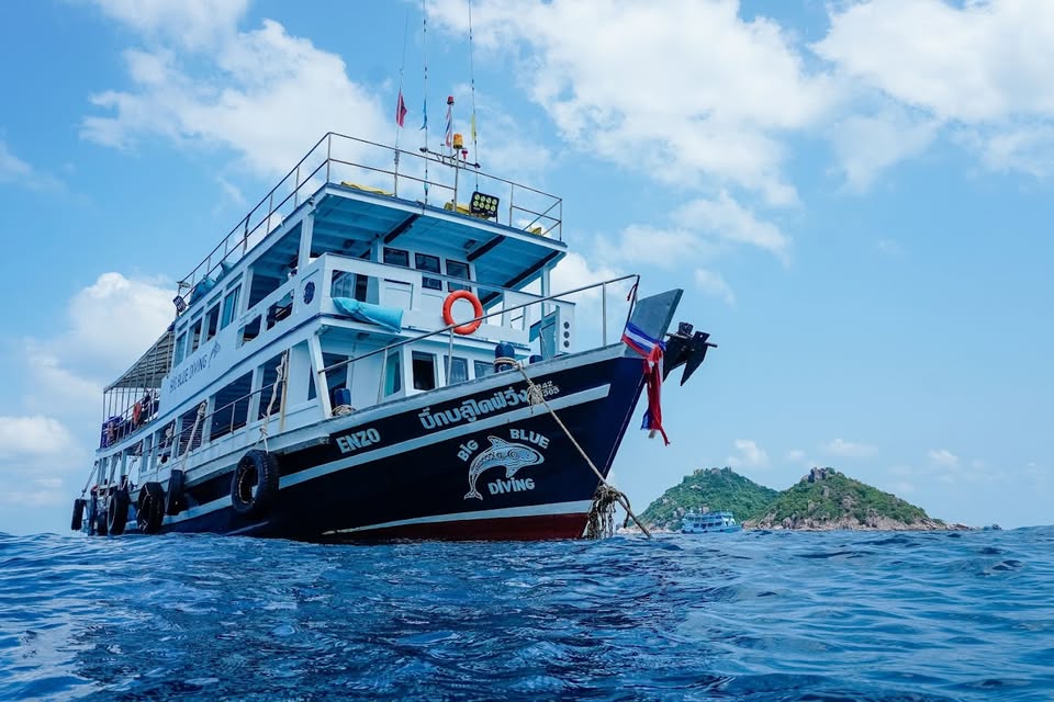 Big Blue Diving in Koh Tao, Thailand
