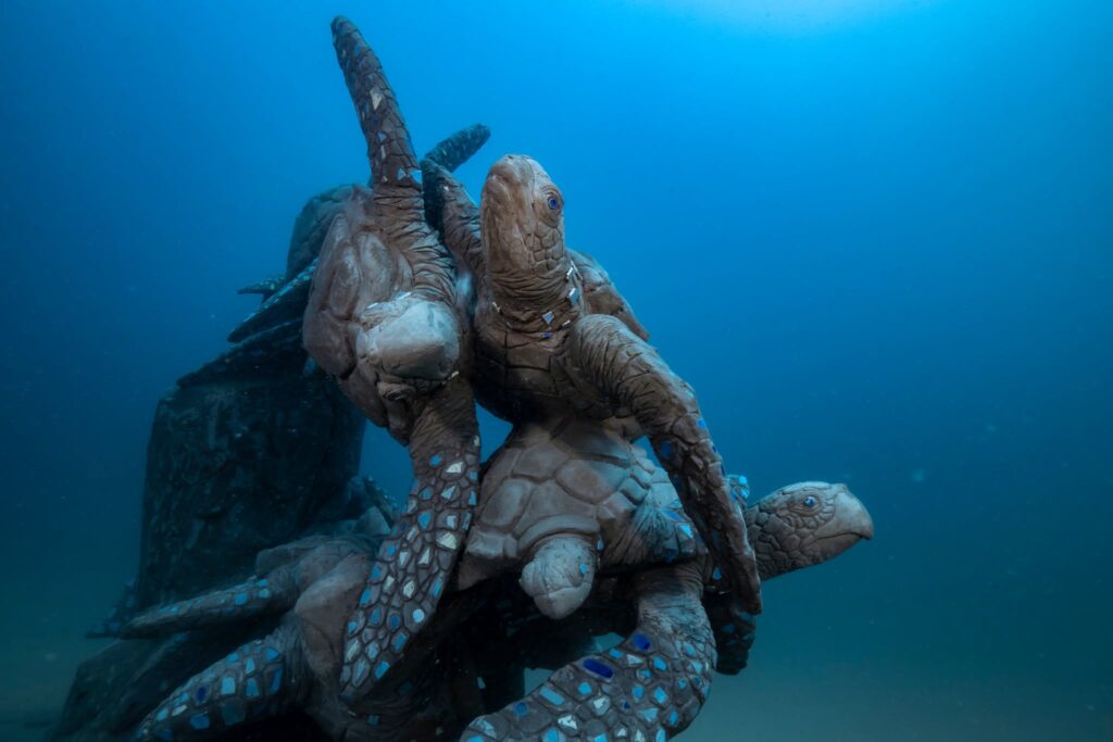 Big Blue Diving in Koh Tao, Thailand