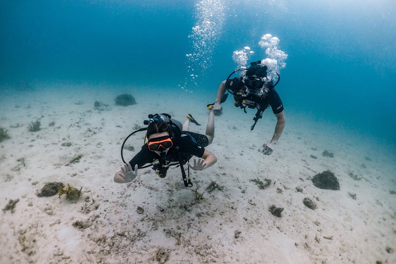 Big Blue Diving in Koh Tao, Thailand