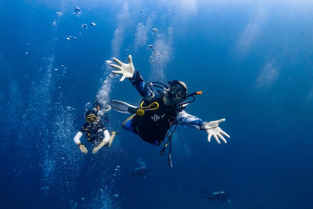 Big Blue Diving in Koh Tao, Thailand
