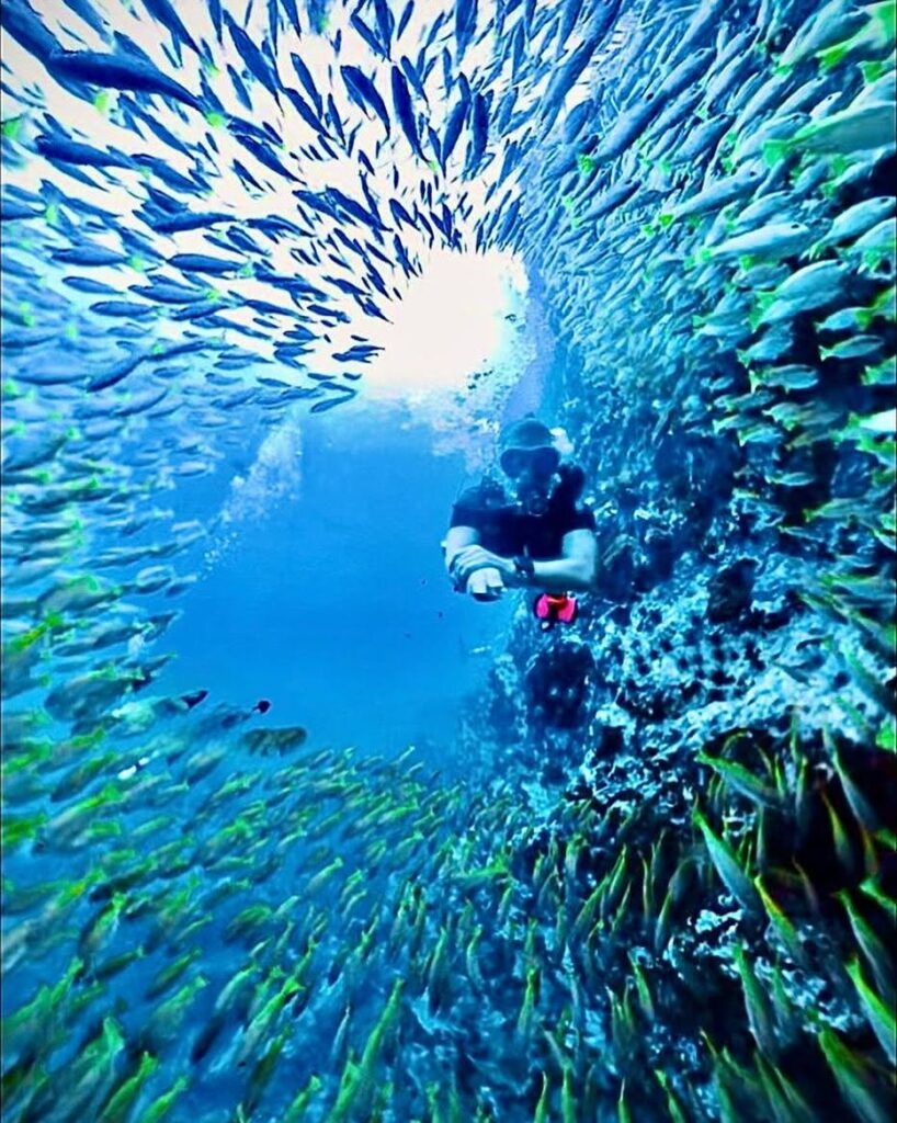 Davy Jones' Locker Diving in Koh Tao – Tiki Thai Pass