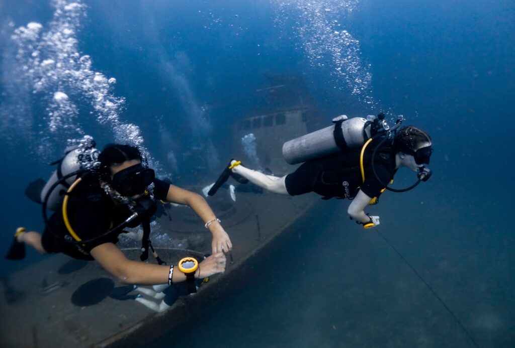 Roctopus Dive in Koh Tao, Thailand