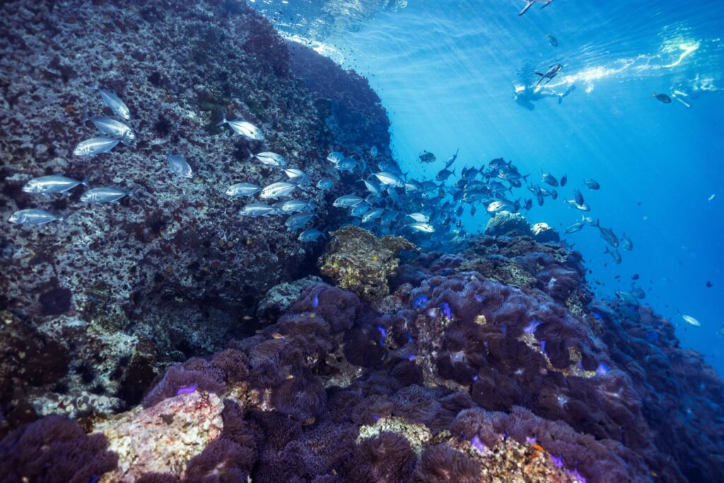 Ban's Diving Resort in Koh Tao, Thailand