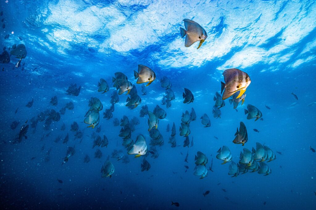 Ban's Diving Resort in Koh Tao, Thailand