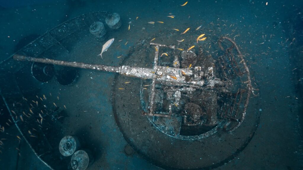 Echo Divers in Koh Tao, Thailand