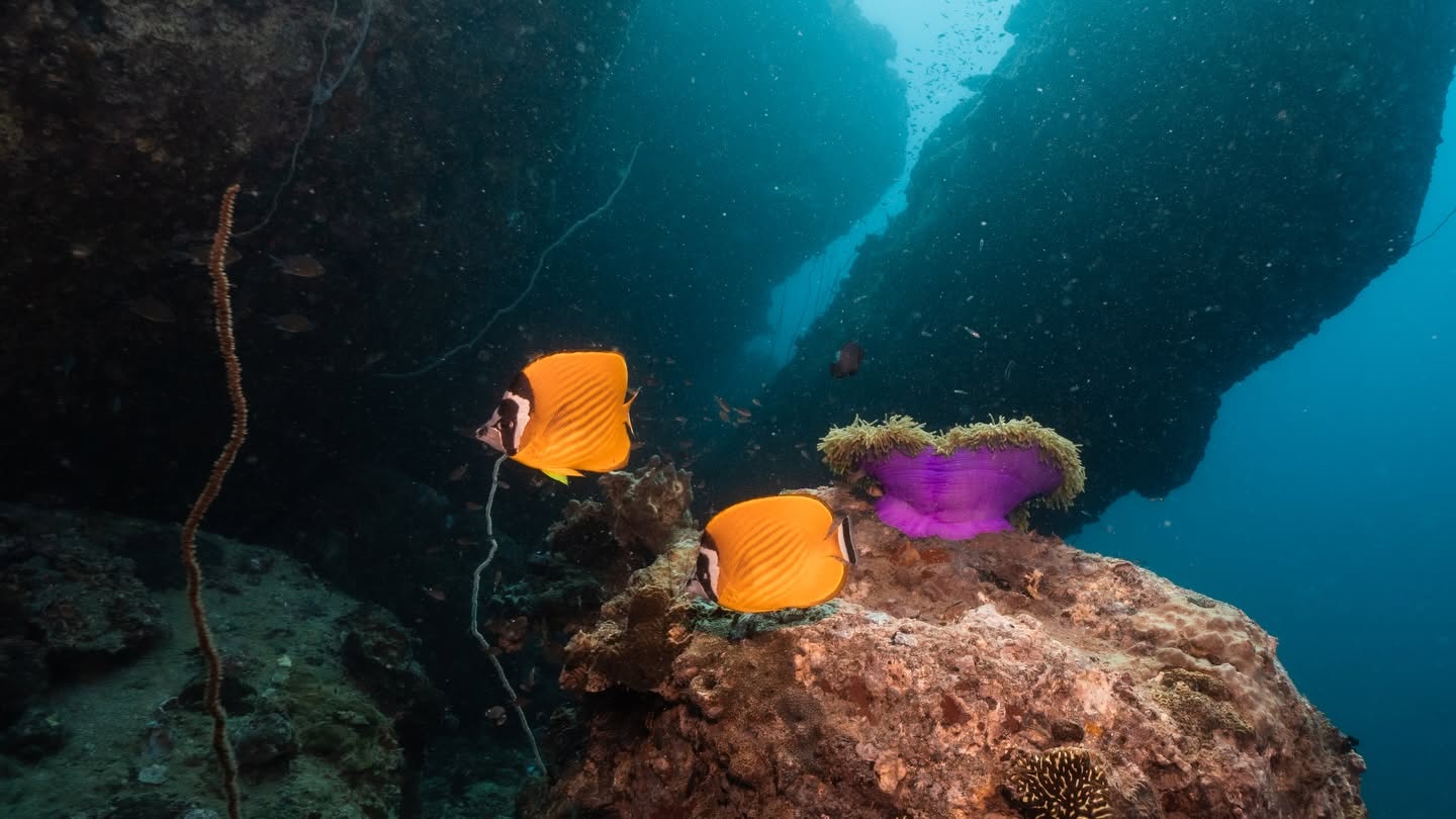 Echo Divers in Koh Tao, Thailand