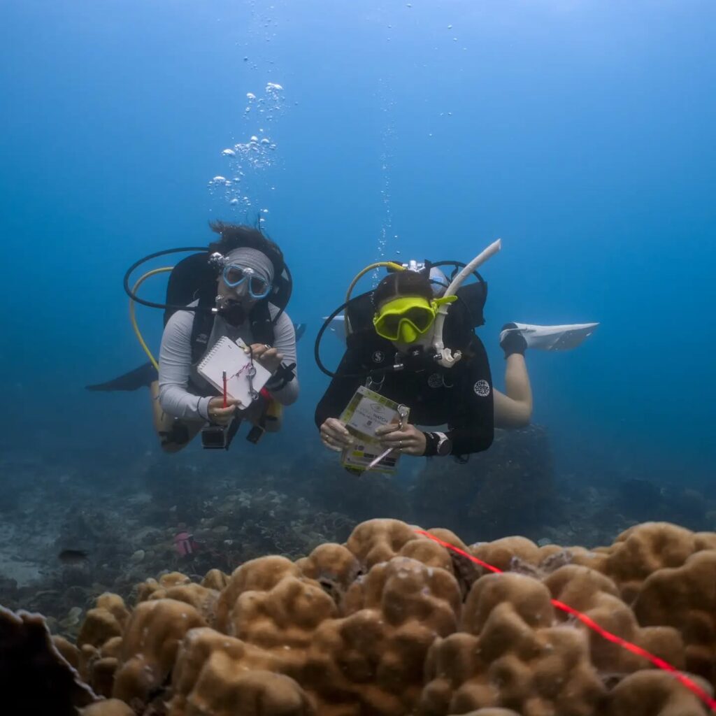 Master Divers in Koh Tao, Thailand