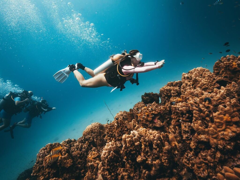 Phoenix Divers in Koh Tao