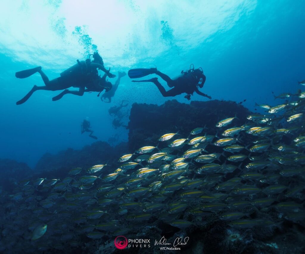 Phoenix Divers in Koh Tao