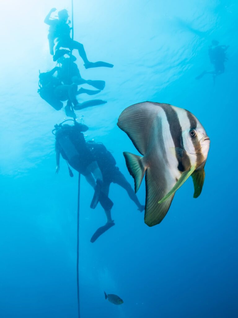 Sairee Cottage Diving in Koh Tao, Thailand