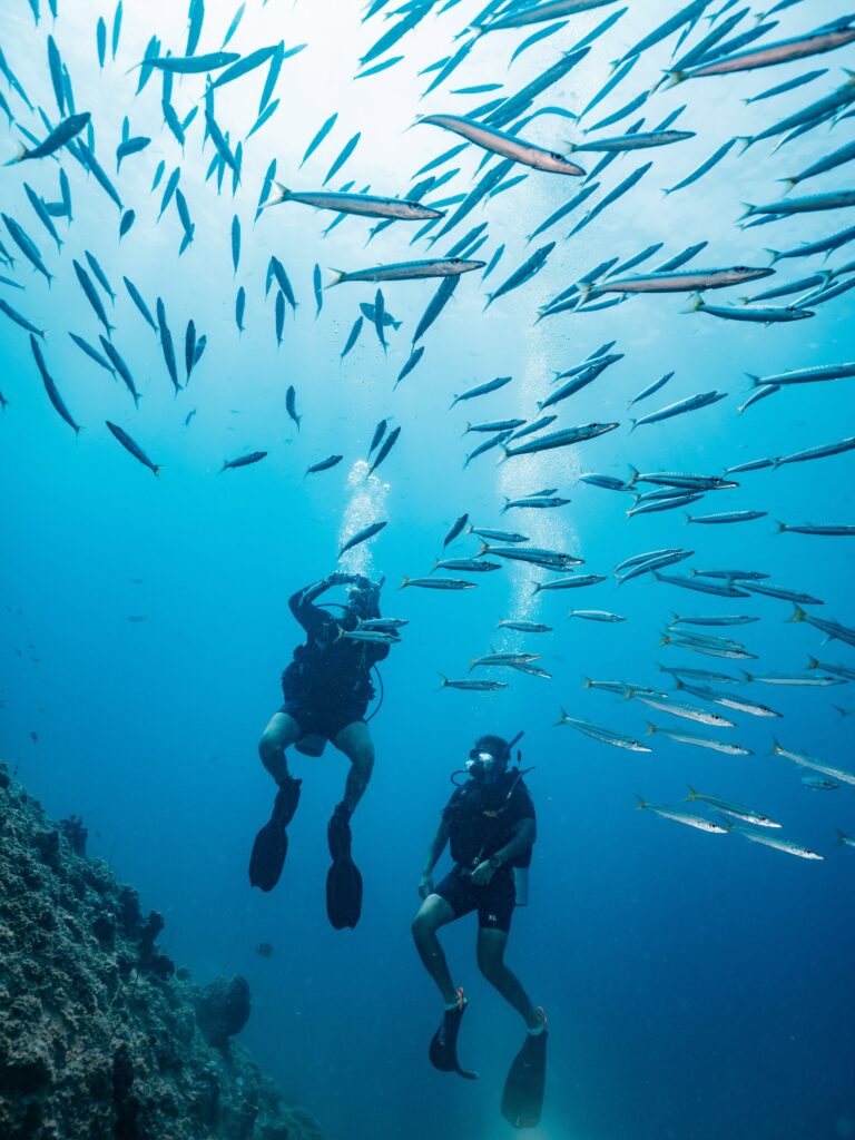 Simple Life Divers in Koh Tao, Thailand Deals