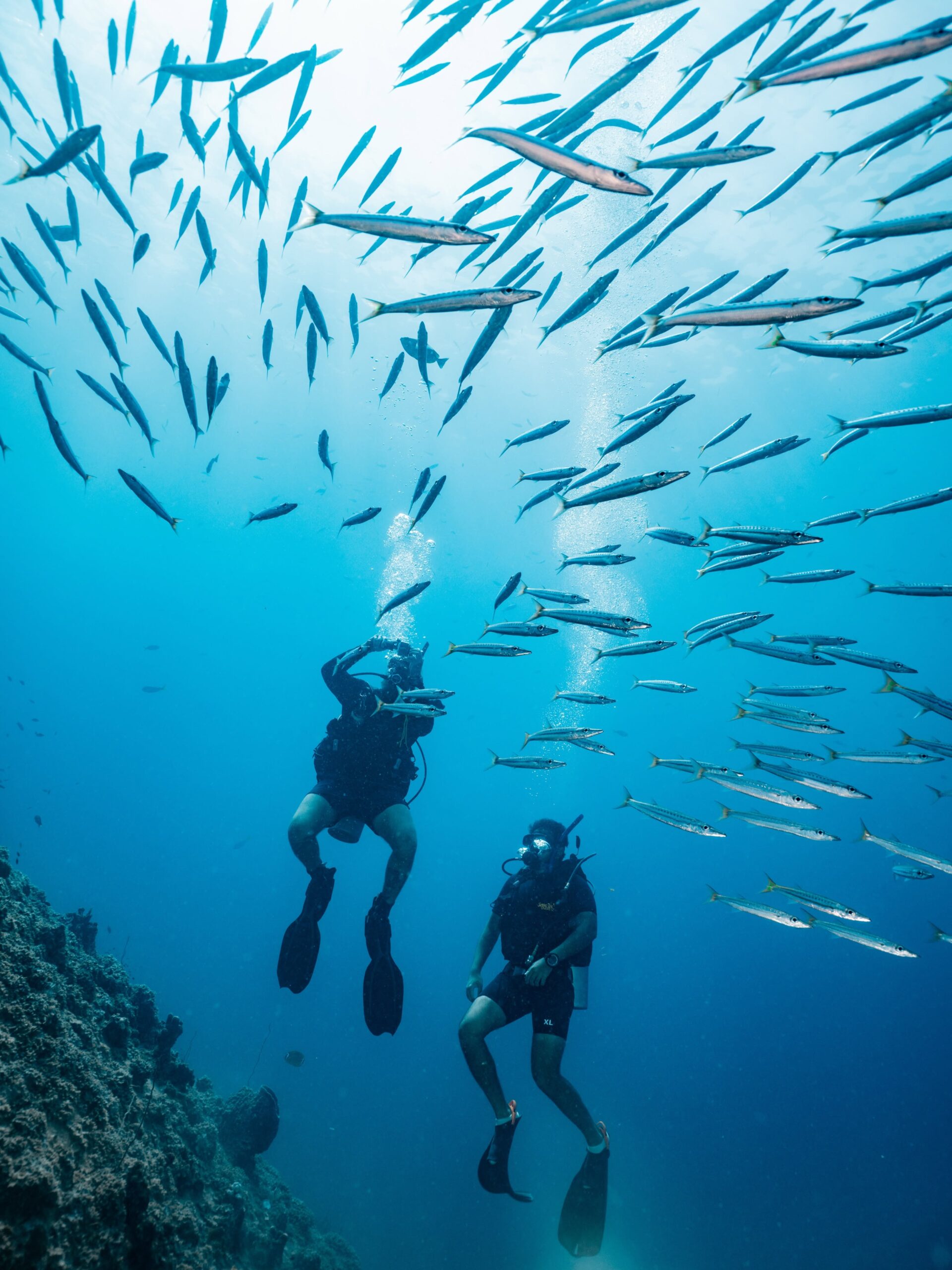 Simple Life Divers in Koh Tao, Thailand Deals