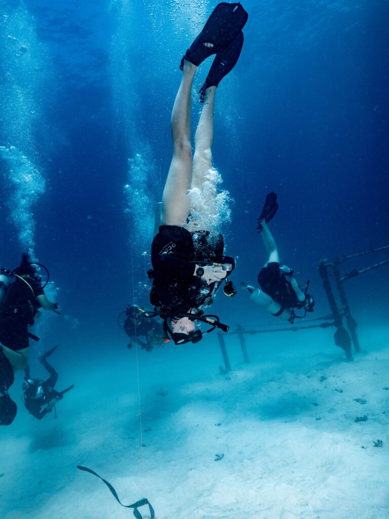 Phoenix Divers in Koh Tao – Tiki Thai Pass