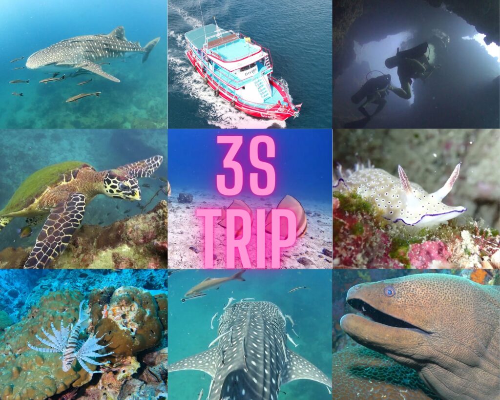 The Divers Boat in Koh Tao, Thailand