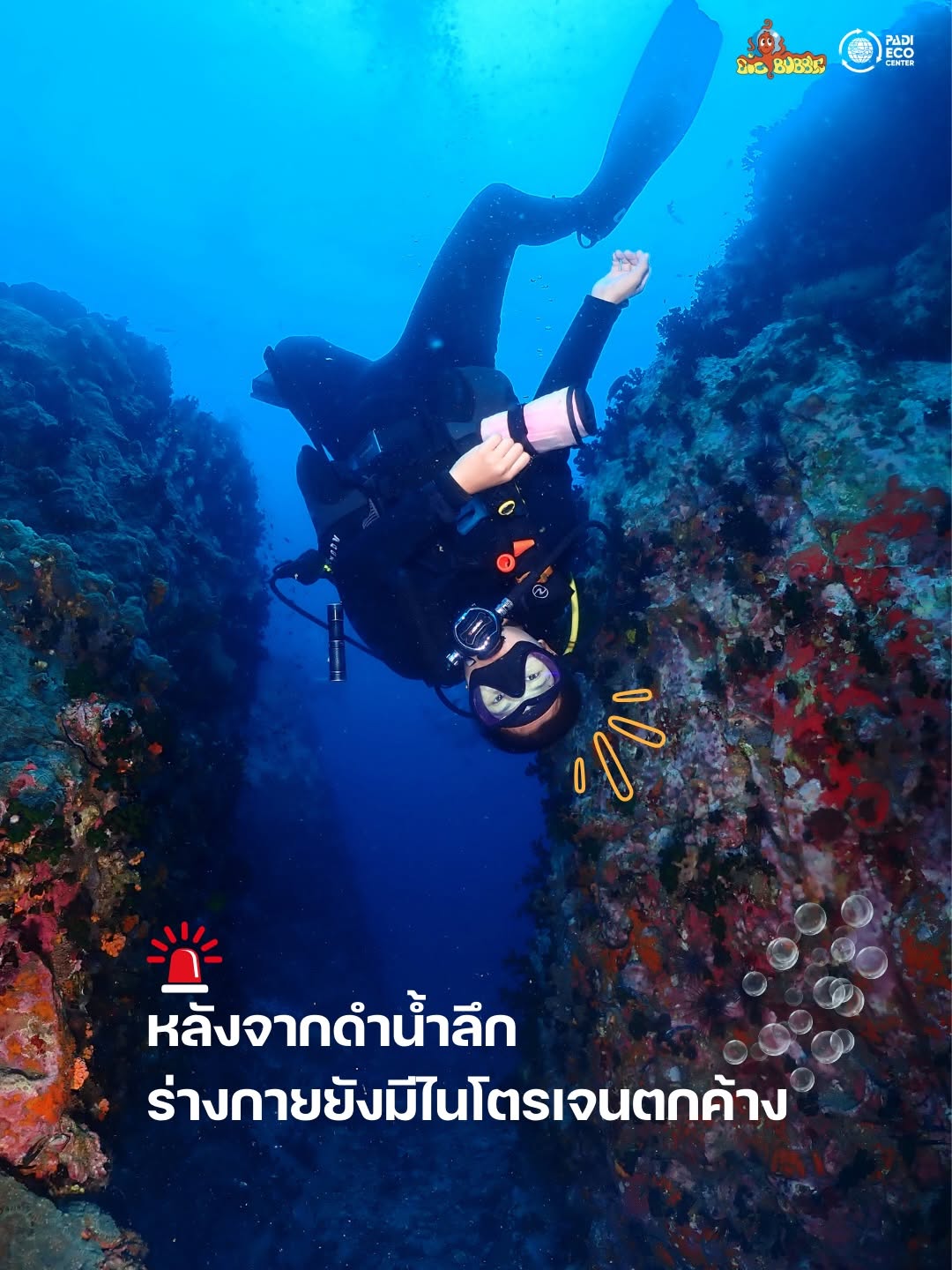 Big Bubble Diving in Koh Tao, Thailand
