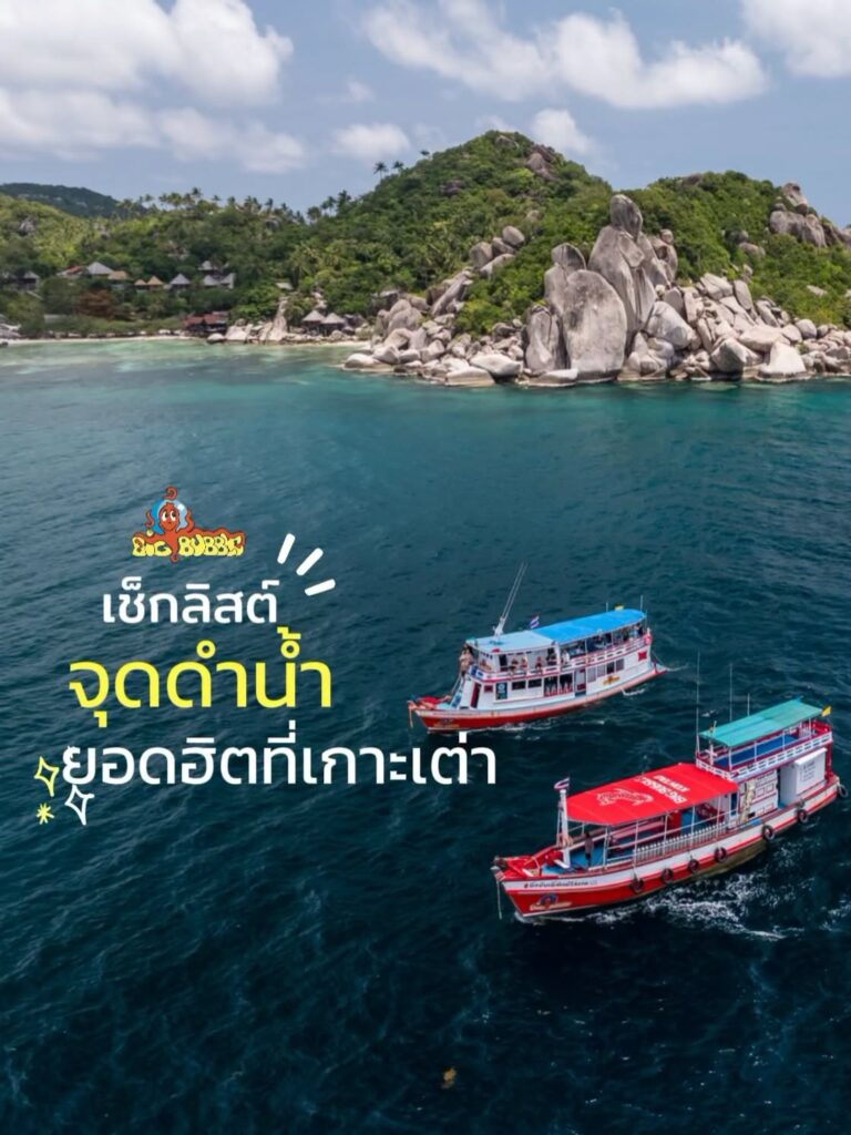 Big Bubble Diving in Koh Tao, Thailand