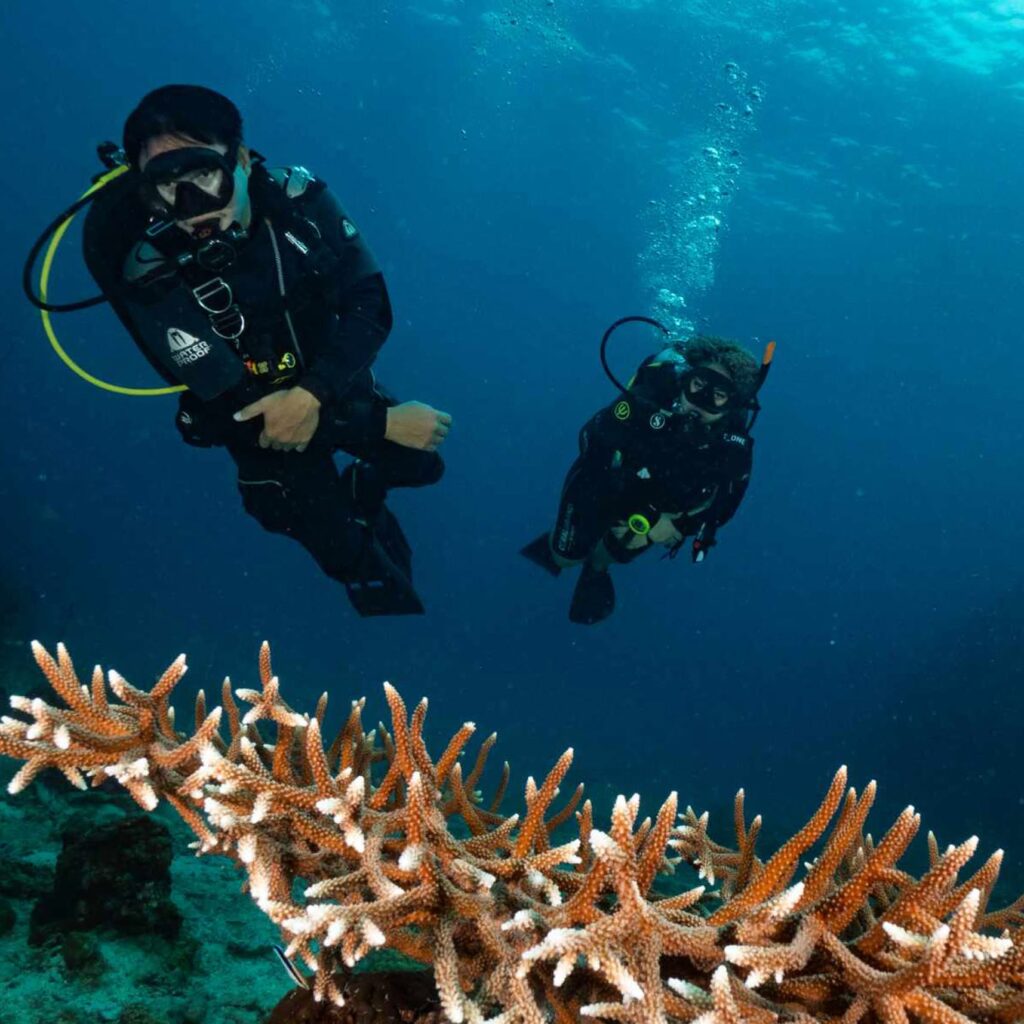 Coral Grand Divers in Koh Tao, Thailand