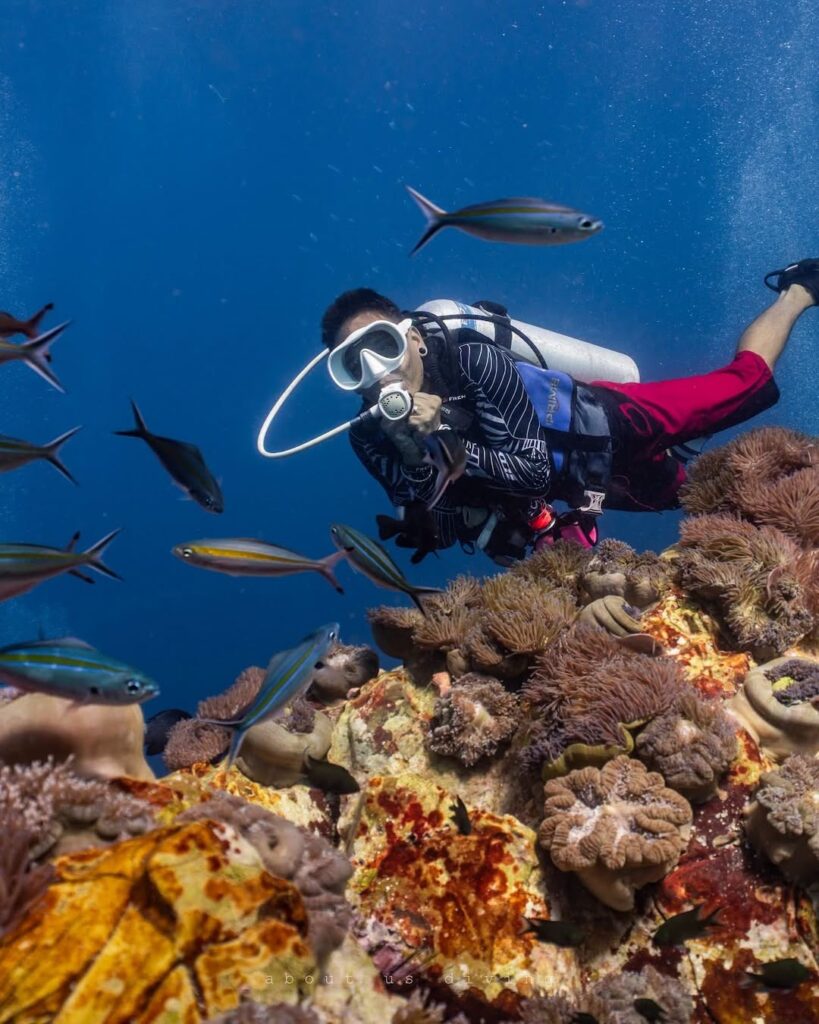 French Kiss Divers in Koh Tao, Thailand