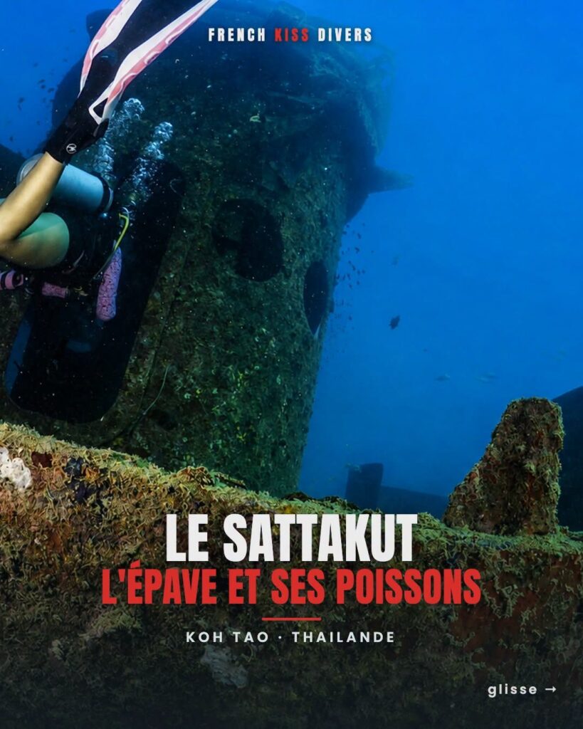 French Kiss Divers in Koh Tao, Thailand